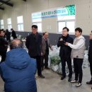 하동농협적량지점 | 하동 취나물, 봄 향기 물씬…첫 경매가 전년 대비 8% 상승