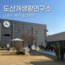개들의 집 | 대구 북구 신상 애견카페 '도남개생활연구소' 방문 후기 (+ 이용방법, 내돈내산)