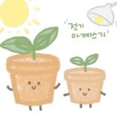 신양초등학교 이미지