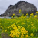 명성빨래방 이미지