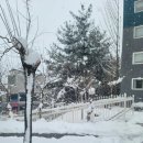 잭슨 당구장 이미지