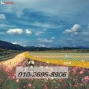 공공용 86 네이버블로그