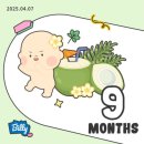 서촌쿨세탁 | 임신 | 임신 31~37주차 임신일기, 임신 후기 증상, 출산 준비, 조이 맞이 준비 ! 🌸