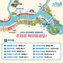 장성옐로우시티 명화푸드 | 2024 장성 황룡강 가을꽃축제 후기-feat 황룡강변