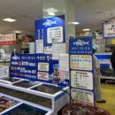 동서울카써비스 | [여행] : 2월의 제주도, 서에서 동으로