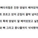 대청뼈다귀감자탕 이미지