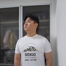 시원디자인 | 진리앤젤 독도티셔츠 : 국뽕 차오르는 디자인에 시원함까지 다 잡은 기능성반팔티 후기