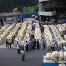 안동와룡농협 이미지