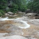 동아무도장 이미지