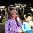 영환목장 이미지