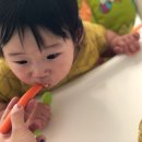 송이진푸드 이미지