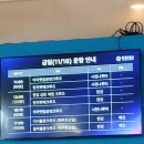 내가 크루즈를...?