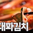 대파김치 담그는법 이보은 대파장아찌 만드는법 이미지