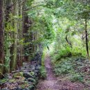 고망돌담 이미지