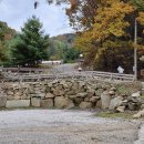 숲속의 쉼터 이미지