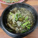 다슬기마을 | 영월 맛집 / 영월역 맞은편 다슬기 된장국이 맛있는 [다슬기 마을 1호점] 다녀온 후기