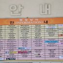 사파동101 이미지