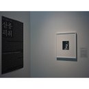 &lt;살롱 픽춰&gt; - 무허 정해창 - 갤러리 류가헌