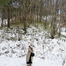 정화목장 | [강릉 여행] 대관령양떼목장 겨울 정복! ❄️ 칼바람 뚫고 만난 양&amp;깜순이, 요거트 쇼핑까지 🛍️🐑