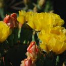 남해농장 이미지