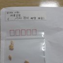 시골고모님사과참외씨앗 이미지