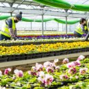 백양산 양묘장 이미지