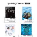 어슬렁 어슬렁 콘서트 여름: 유다빈밴드 이미지