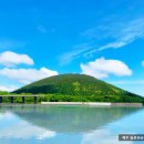 드림농원 민박 이미지