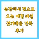 현명농장 | 농장에서 집으로 오는 제철 과일 정기배송 만족 후기