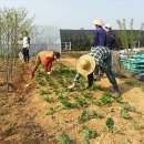 또박이농장 이미지