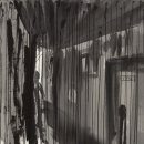 피어나는 생명 이미지