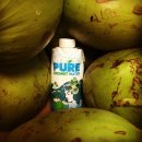 필리스 핏 이미지