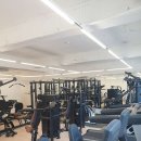 라인피티 이미지