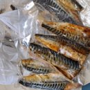 삼쟁이풍천민물장어 이미지