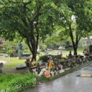 알프스농원 캠핑장 이미지