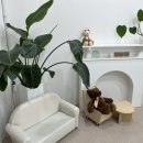 댕큐베리 이미지