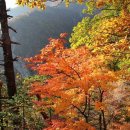 대청봉주유소 이미지