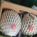 신월중앙태권도장 이미지