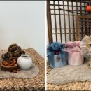 위드뚜뚜 이미지