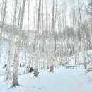 하추 사계절 이미지