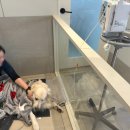 마음을 읽어주는 마음동물병원 이미지