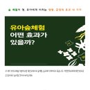 숲 체험이 영, 유아에게 미치는 영향, 긍정적 효과 이미지