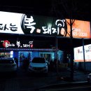 제주복돼지 이미지