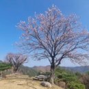 자연황토민박앞 이미지