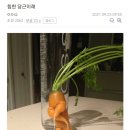 미더