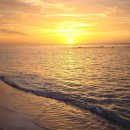 빈 팩토리 이미지