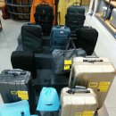 내셔널지오그래픽 진주점 이미지