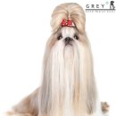 꾸러기동물병원 이미지