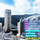 GO스키 이미지