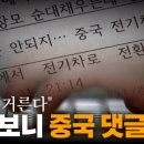 알고보니 중국 댓글부대 이미지